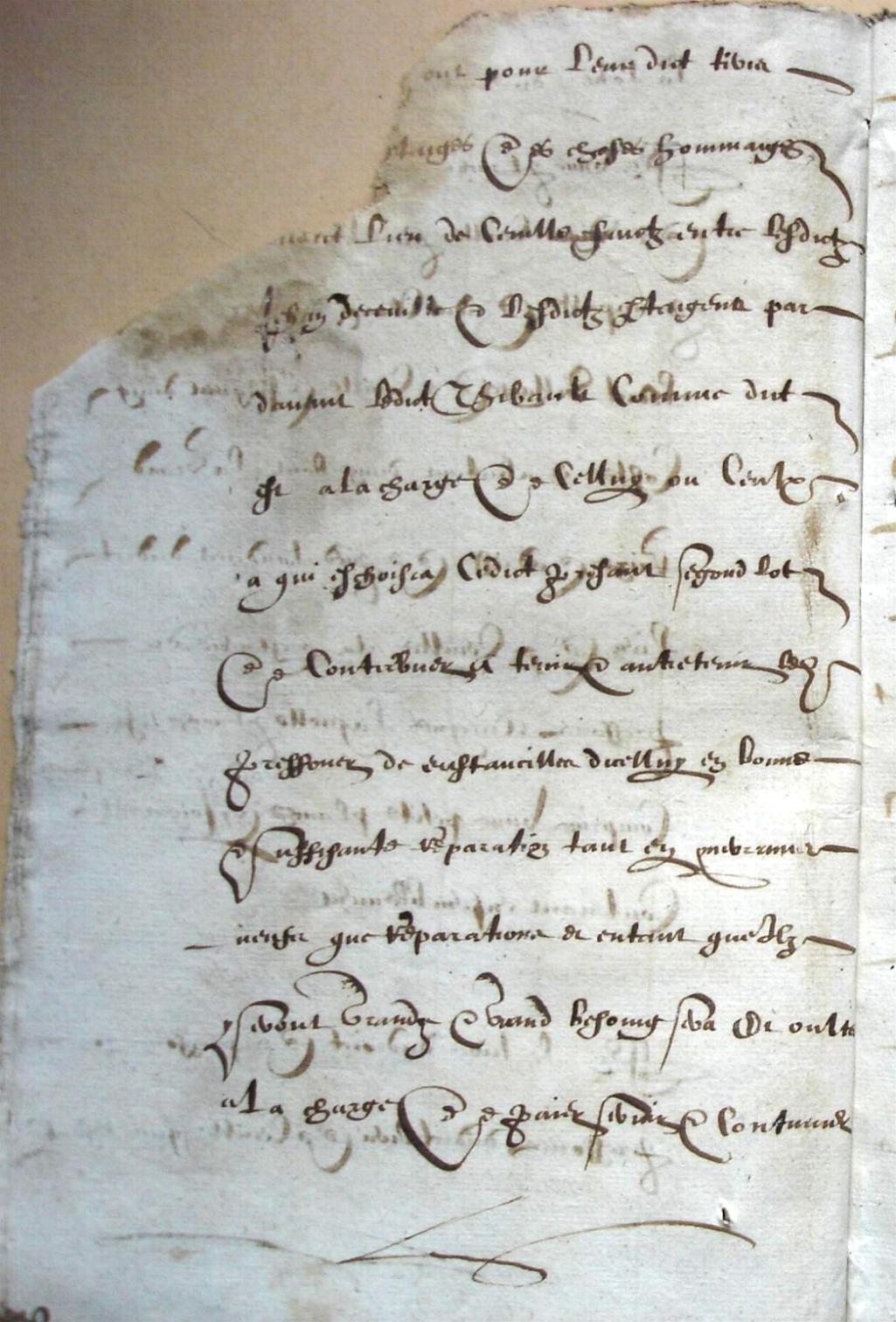 Ceville-Mathurin-partages_1603 (20).JPG